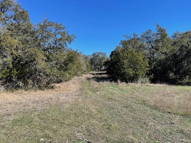 519 Old Fitzhugh Rd, Dripping Springs, photo 3