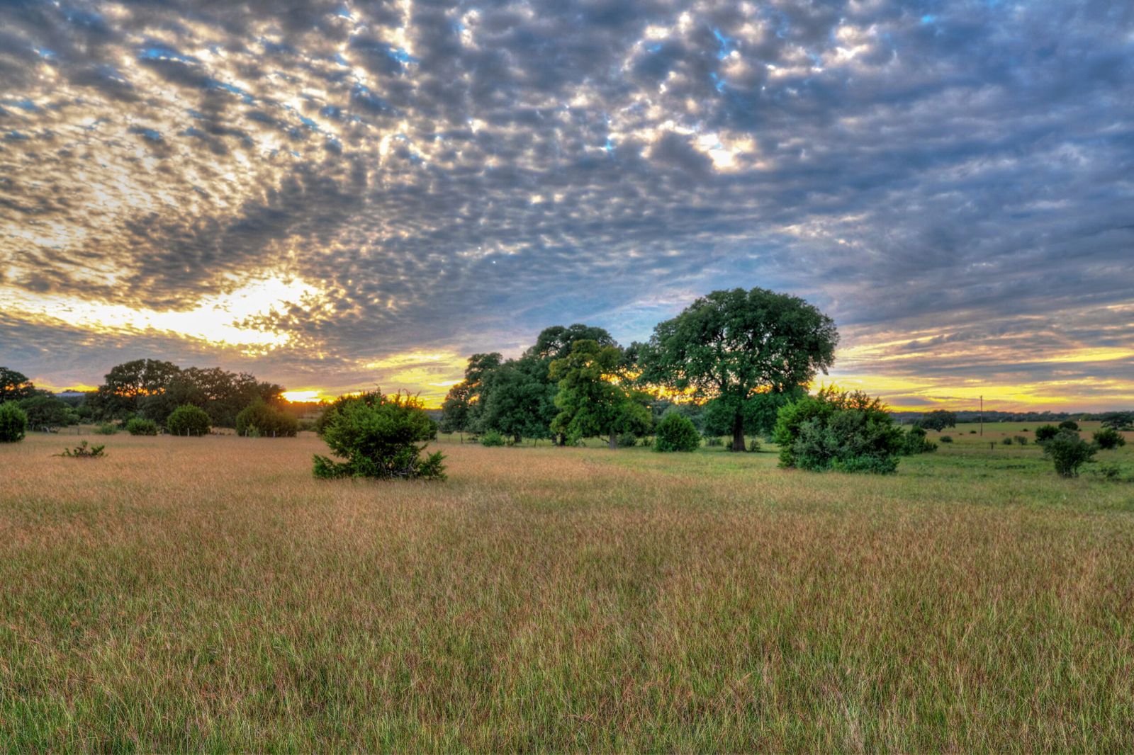 53 Acres on Elder Hill Road, photo 1