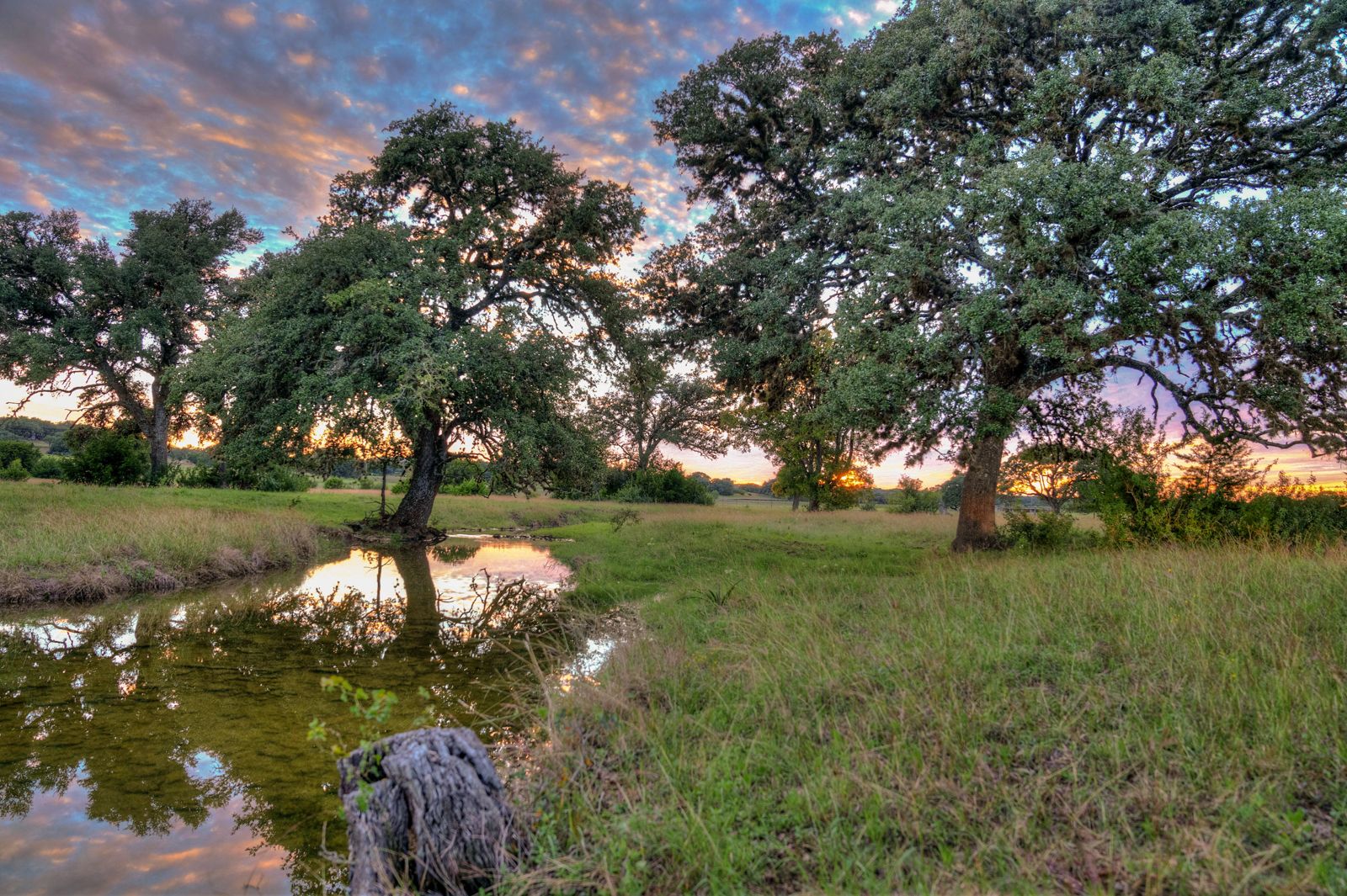 53 Acres on Elder Hill Road, photo 2