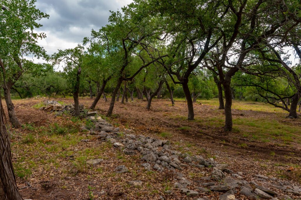 8.63 Acres on Driftwood Valley Trail, photo 1